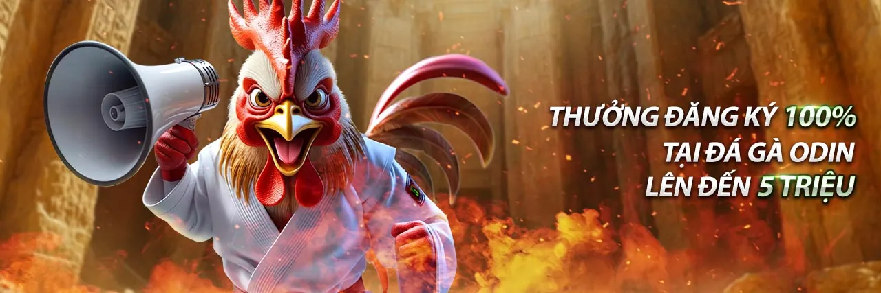 Hình ảnh chính hướng dẫn chơi game 8win55 code